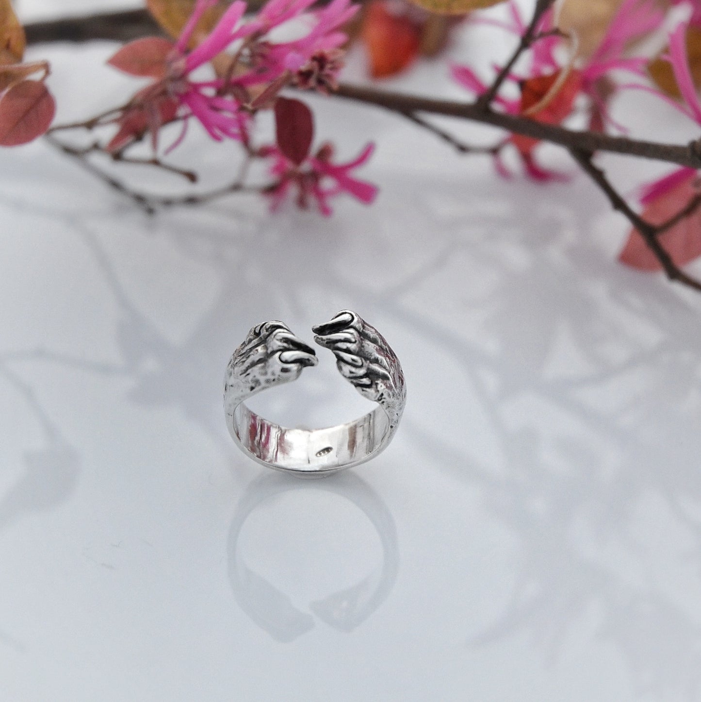 ANELLO ARTIGLI