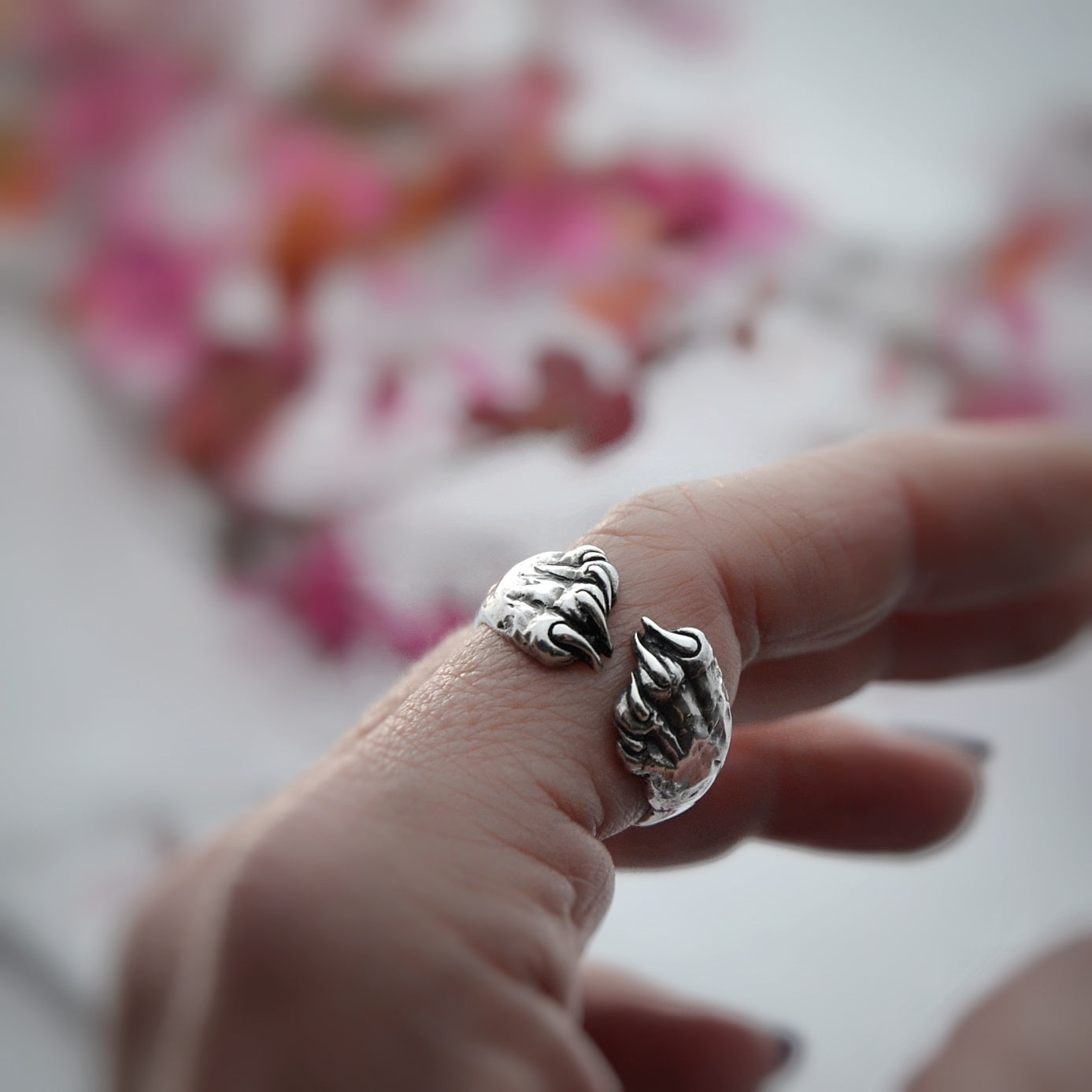 ANELLO ARTIGLI